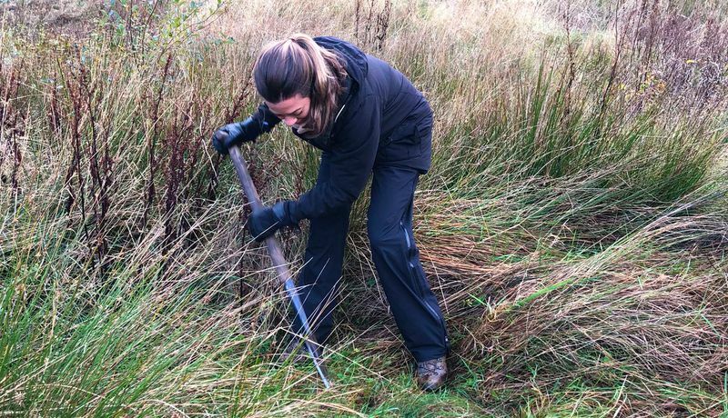 Digging the small hole for a sapling to be planted in